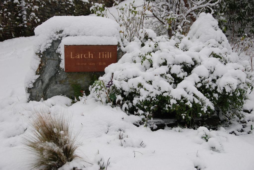 Larch Hill Bed & Breakfast Queenstown Exterior foto