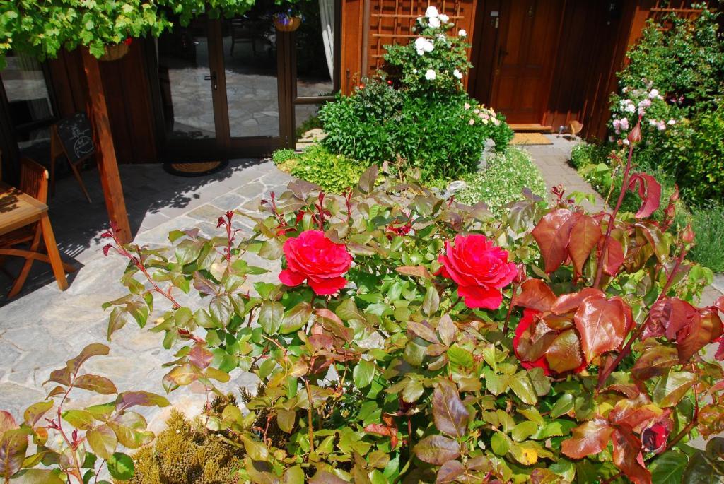 Larch Hill Bed & Breakfast Queenstown Exterior foto